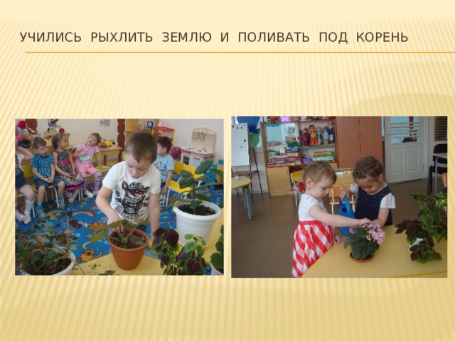 Учились рыхлить землю и поливать под корень 