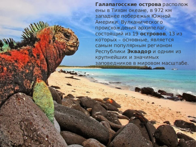 Галапагосские   острова  расположены в Тихом океане, в 972 км западнее побережья Южной Америки. Вулканического происхождения архипелаг, состоящий из 19  островов , 13 из которых – основные, является самым популярным регионом Республики  Эквадор  и одним из крупнейших и значимых заповедников в мировом масштабе. 