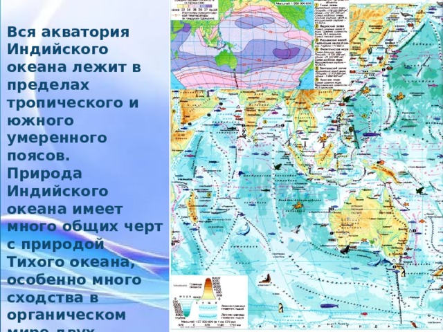 Вся акватория Индийского океана лежит в пределах тропического и южного умеренного поясов. Природа Индийского океана имеет много общих черт с природой Тихого океана, особенно много сходства в органическом мире двух океанов. Вся акватория Индийского океана лежит в пределах тропического и южного умеренного поясов. Природа Индийского океана имеет много общих черт с природой Тихого океана, особенно много сходства в органическом мире двух океанов.  