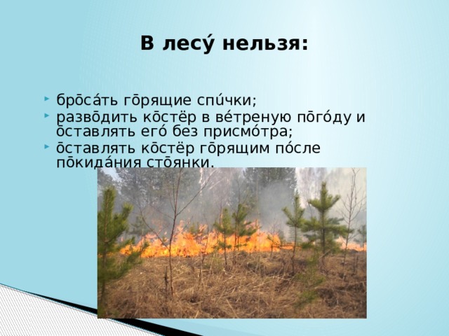 В лесý нельзя: брōсáть гōрящие спúчки; развōдить кōстёр в вéтреную пōгóду и ōставлять егó без присмóтра; ōставлять кōстёр гōрящим пóсле пōкидáния стōянки. 