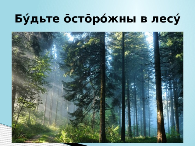 Бýдьте ōстōрóжны в лесý 
