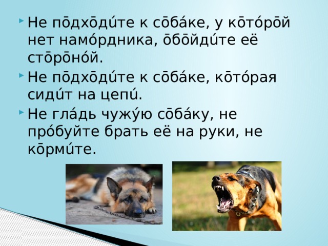 Не пōдхōдúте к сōбáке, у кōтóрōй нет намóрдника, ōбōйдúте её стōрōнóй. Не пōдхōдúте к сōбáке, кōтóрая сидúт на цепú. Не глáдь чужýю сōбáку, не прóбуйте брать её на руки, не кōрмúте. 