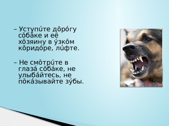 –  Уступúте дōрóгу сōбáке и её хōзяину в ýзкōм кōридóре, лúфте. –  Не смōтрúте в глазá сōбáке, не улыбáйтесь, не пōкáзывайте зýбы. 
