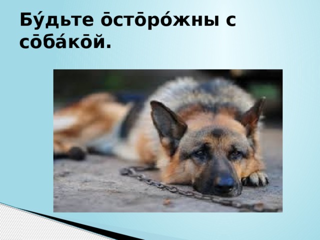 Бýдьте ōстōрóжны с сōбáкōй. 