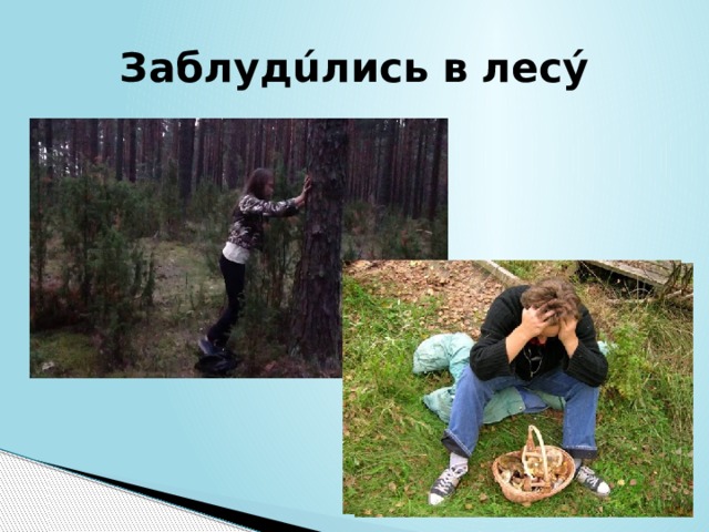 Заблудúлись в лесý 