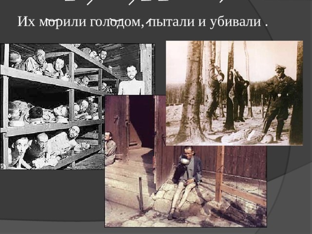Их морили голодом, пытали и убивали .   