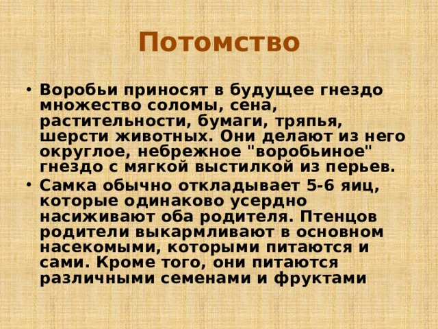 Потомство Воробьи приносят в будущее гнездо множество соломы, сена, растительности, бумаги, тряпья, шерсти животных. Они делают из него округлое, небрежное 