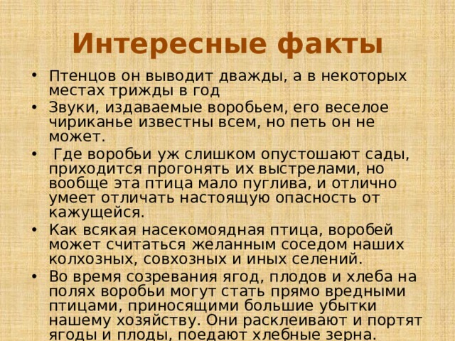 Интересные факты Птенцов он выводит дважды, а в некоторых местах трижды в год Звуки, издаваемые воробьем, его веселое чириканье известны всем, но петь он не может.  Где воробьи уж слишком опустошают сады, приходится прогонять их выстрелами, но вообще эта птица мало пуглива, и отлично умеет отличать настоящую опасность от кажущейся. Как всякая насекомоядная птица, воробей может считаться желанным соседом наших колхозных, совхозных и иных селений. Во время созревания ягод, плодов и хлеба на полях воробьи могут стать прямо вредными птицами, приносящими большие убытки нашему хозяйству. Они расклеивают и портят ягоды и плоды, поедают хлебные зерна. 
