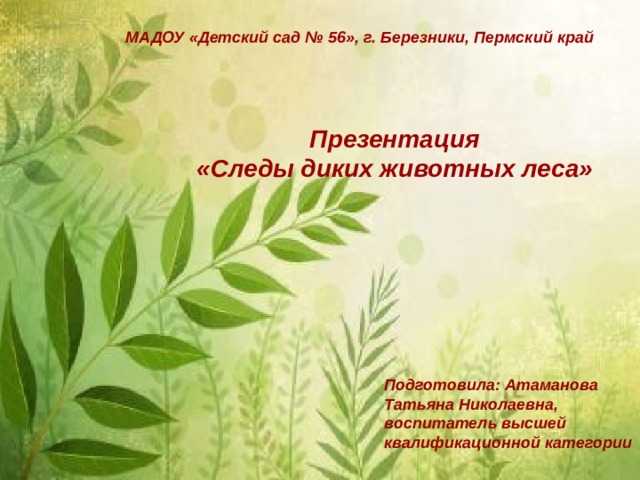 МАДОУ «Детский сад № 56», г. Березники, Пермский край Презентация «Следы диких животных леса»  Подготовила: Атаманова Татьяна Николаевна, воспитатель высшей квалификационной категории 