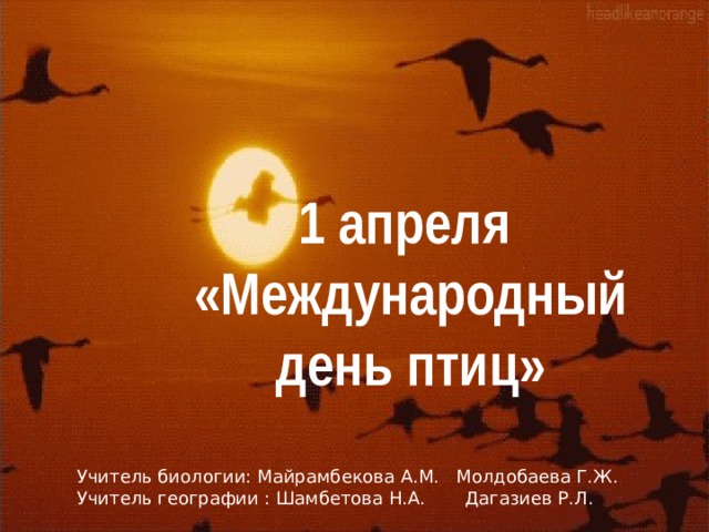 1 апреля  «Международный день птиц» Учитель биологии: Майрамбекова А.М. Молдобаева Г.Ж. Учитель географии : Шамбетова Н.А. Дагазиев Р.Л. 