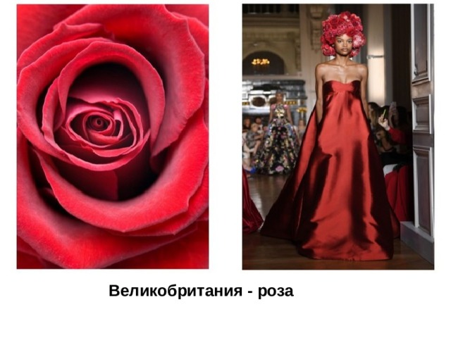 Великобритания - роза 