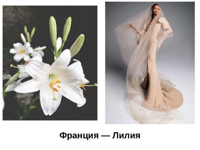 Франция — Лилия  
