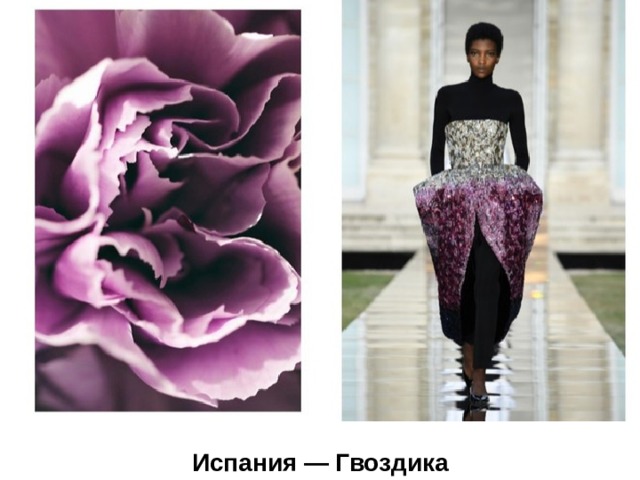   Испания — Гвоздика  