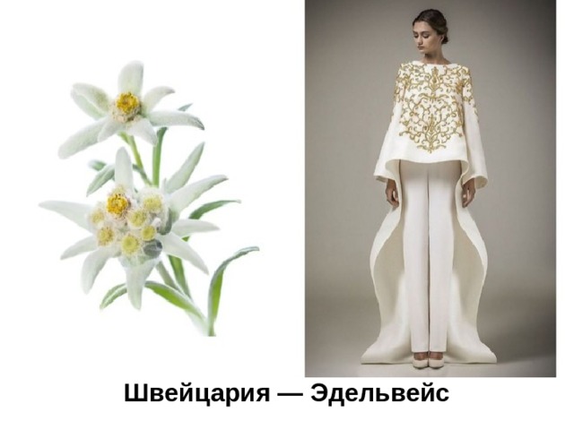 Швейцария — Эдельвейс  