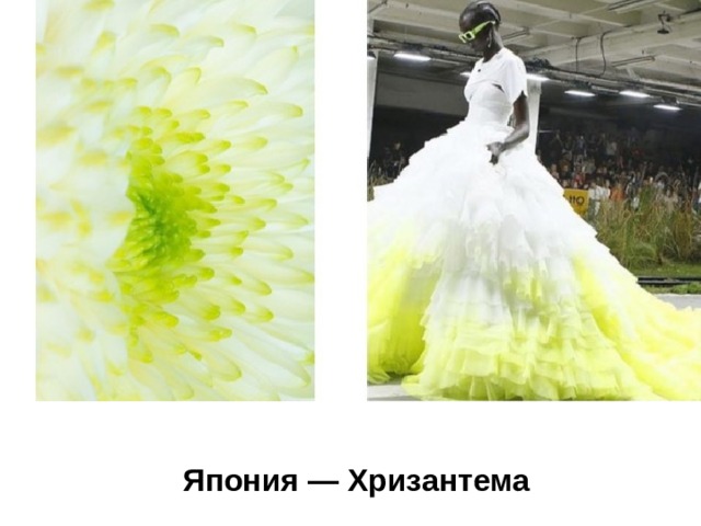 Япония — Хризантема  