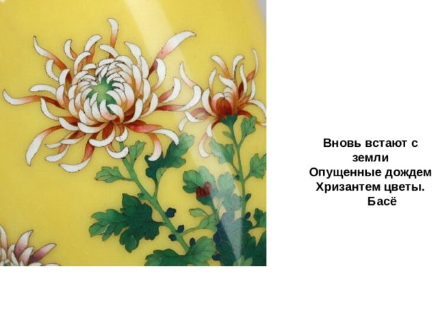 Вновь встают с земли  Опущенн ые дождем  Хризантем цветы.  Басё 