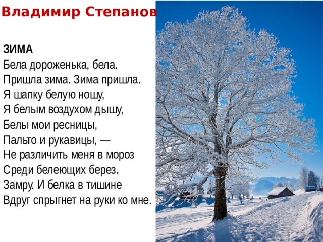 Владимир Степанов ЗИМА Бела дороженька, бела.  Пришла зима. Зима пришла.  Я шапку белую ношу,  Я белым воздухом дышу,  Белы мои ресницы,  Пальто и рукавицы, —  Не различить меня в мороз  Среди белеющих берез.  Замру. И белка в тишине  Вдруг спрыгнет на руки ко мне. 