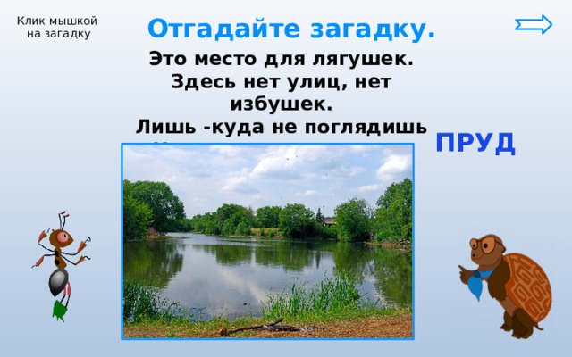  Отгадайте загадку. Клик мышкой на загадку Это место для лягушек. Здесь нет улиц, нет избушек. Лишь -куда не поглядишь Кочки, ряска и камыш.  ПРУД 