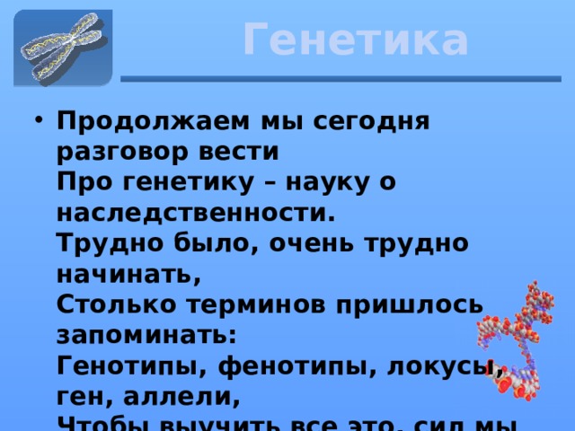 Генетика Продолжаем мы сегодня разговор вести   Про генетику – науку о наследственности.   Трудно было, очень трудно начинать,   Столько терминов пришлось запоминать:   Генотипы, фенотипы, локусы, ген, аллели,   Чтобы выучить все это, сил мы не жалели .  