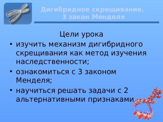 Дигибридное скрещивание.  3 закон Менделя Цели урока изучить механизм дигибридного скрещивания как метод изучения наследственности; ознакомиться с 3 законом Менделя; научиться решать задачи с 2 альтернативными признаками. 