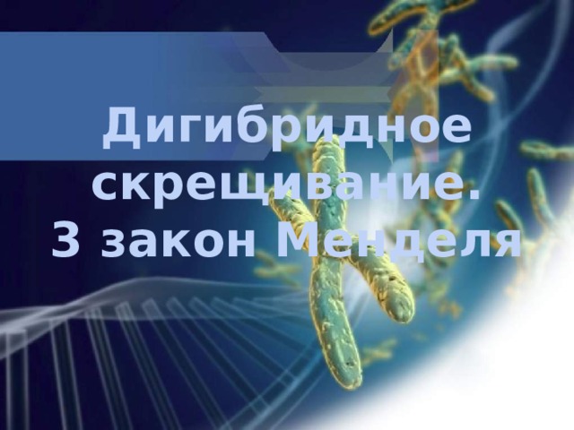 Дигибридное скрещивание.  3 закон Менделя 