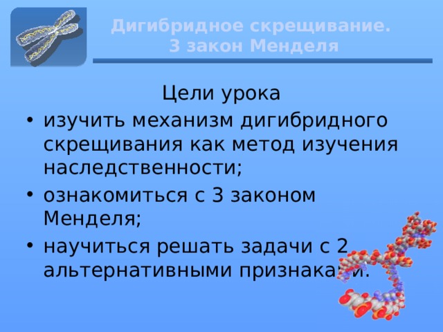 Дигибридное скрещивание.  3 закон Менделя Цели урока изучить механизм дигибридного скрещивания как метод изучения наследственности; ознакомиться с 3 законом Менделя; научиться решать задачи с 2 альтернативными признаками. 