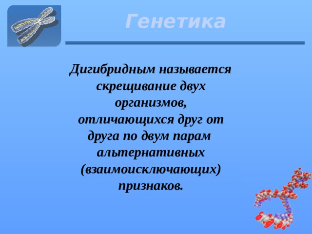 Генетика Дигибридным называется скрещивание двух организмов, отличающихся друг от друга по двум парам альтернативных (взаимоисключающих) признаков.  