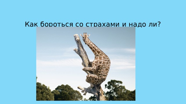 Как бороться со страхами и надо ли? 