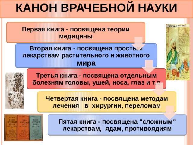 КАНОН ВРАЧЕБНОЙ НАУКИ Первая книга - посвящена теории медицины Вторая книга - посвящена простым лекарствам растительного и животного мира Третья книга - посвящена отдельным болезням головы, ушей, носа, глаз и т.д Четвертая книга - посвящена методам лечения в хирургии, переломам Пятая книга - посвящена “сложным” лекарствам, ядам, противоядиям 
