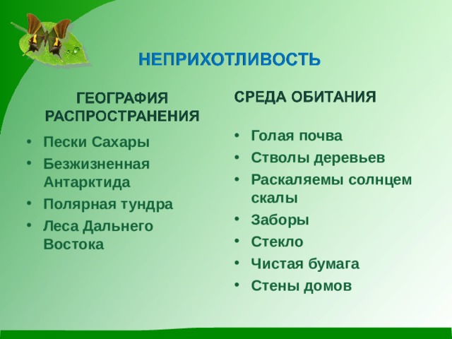  Голая почва Стволы деревьев Раскаляемы солнцем скалы Заборы Стекло Чистая бумага Стены домов   Пески Сахары Безжизненная Антарктида Полярная тундра Леса Дальнего Востока   