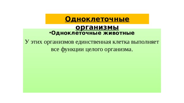 Одноклеточные организмы Одноклеточные животные У этих организмов единственная клетка выполняет все функции целого организма. 