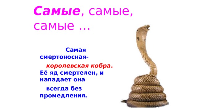 Самые , самые, самые …  Самая смертоносная-  королевская кобра . Её яд смертелен, и нападает она  всегда без промедления. 