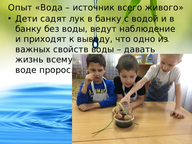 Опыт «Вода – источник всего живого» Дети садят лук в банку с водой и в банку без воды, ведут наблюдение и приходят к выводу, что одно из важных свойств воды – давать жизнь всему живому. Поэтому лук в воде пророс. 