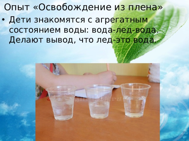 Опыт «Освобождение из плена» Дети знакомятся с агрегатным состоянием воды: вода-лед-вода. Делают вывод, что лед-это вода. 