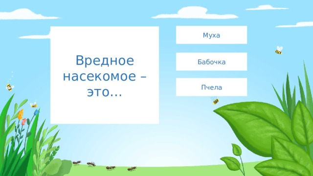 Муха Вредное насекомое – это… Бабочка Пчела 
