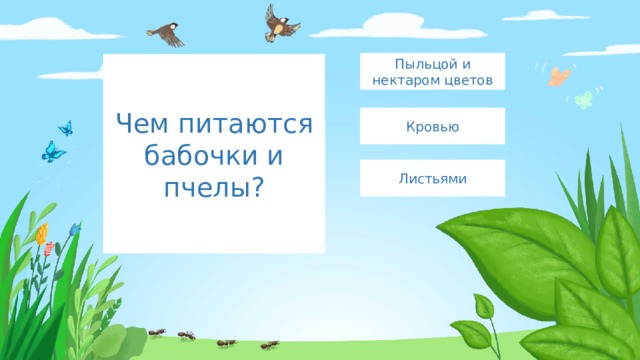 Пыльцой и нектаром цветов Чем питаются бабочки и пчелы? Кровью Листьями 