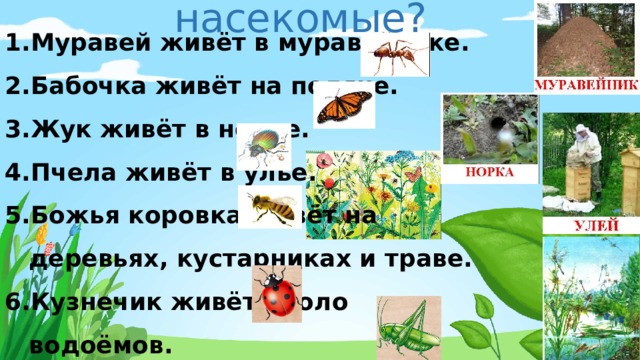 Где живут насекомые? Муравей живёт в муравейнике. Бабочка живёт на поляне. Жук живёт в норке. Пчела живёт в улье. Божья коровка живёт на деревьях, кустарниках и траве. Кузнечик живёт около водоёмов. 