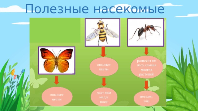 Полезные насекомые 