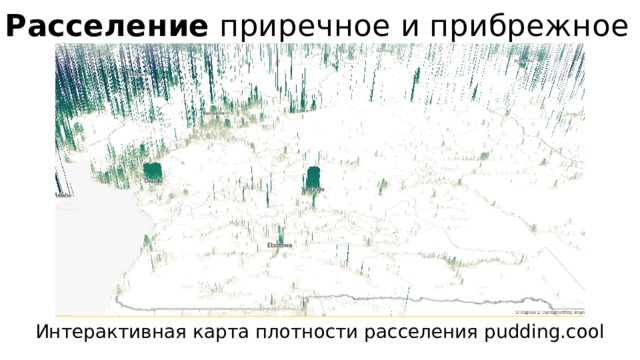 Расселение приречное и прибрежное   Интерактивная карта плотности расселения pudding.cool 