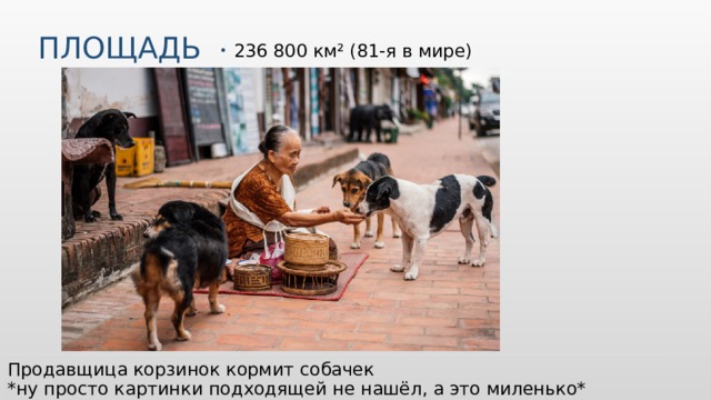 Площадь 236 800 км² (81-я в мире) Продавщица корзинок кормит собачек *ну просто картинки подходящей не нашёл, а это миленько* 