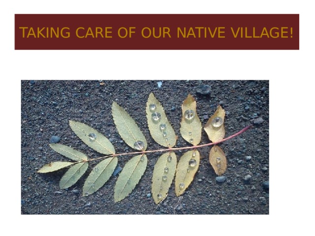 Taking care of our native village! 