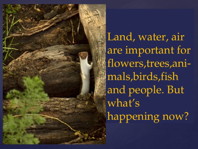 Land, water, air are important for flowers,trees,ani-mals,birds,fish and people. But what’s happening now? 