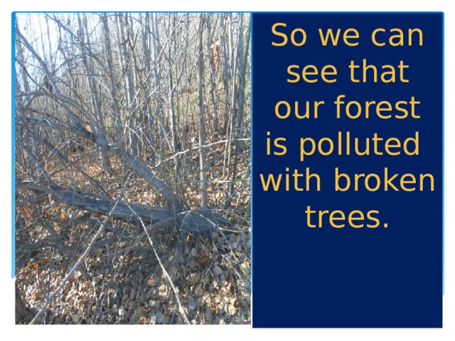 So we can see that our forest is polluted with broken trees. 