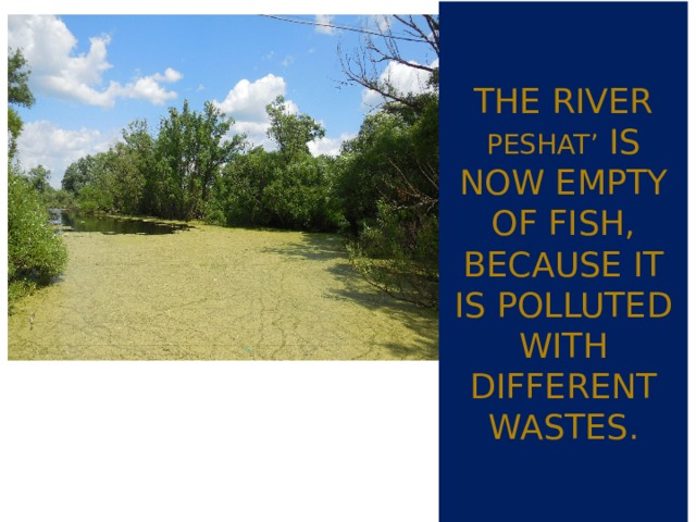 The river Peshat’ is now empty of fish, because it is polluted with different wastes. 