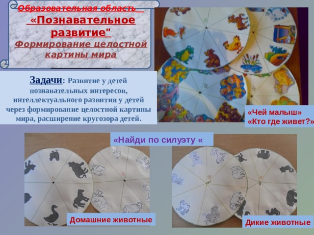 Образовательная область    «Познавательное развитие