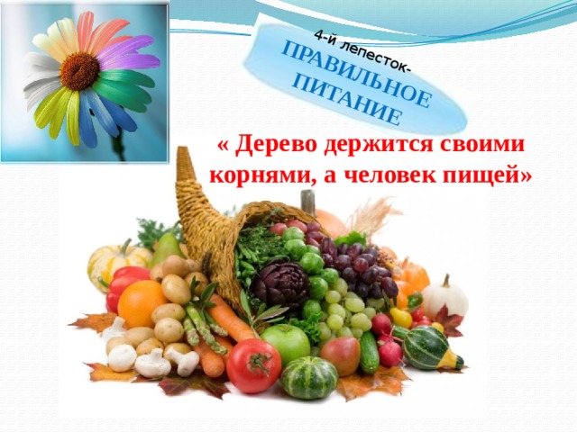 4-й лепесток- ПРАВИЛЬНОЕ ПИТАНИЕ « Дерево держится своими корнями, а человек пищей» 