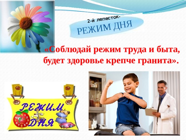 2-й лепесток- РЕЖИМ ДНЯ «Соблюдай режим труда и быта, будет здоровье крепче гранита». 