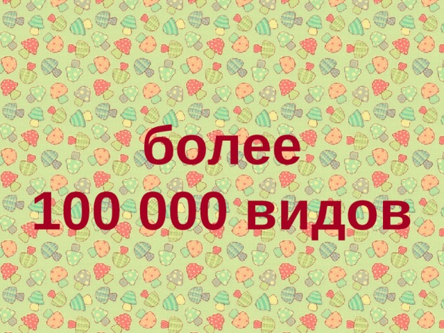 более 100 000 видов 