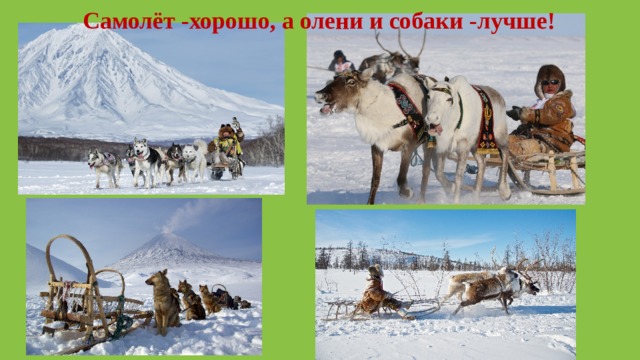 Самолёт -хорошо, а олени и собаки -лучше! 