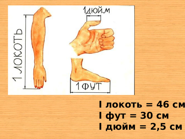 I локоть = 46 см I фут = 30 см I дюйм = 2,5 см  